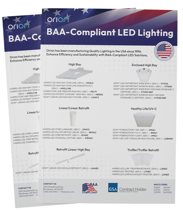 baa flyer