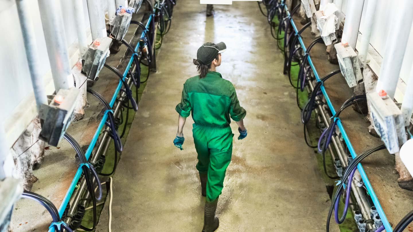 milk-parlor