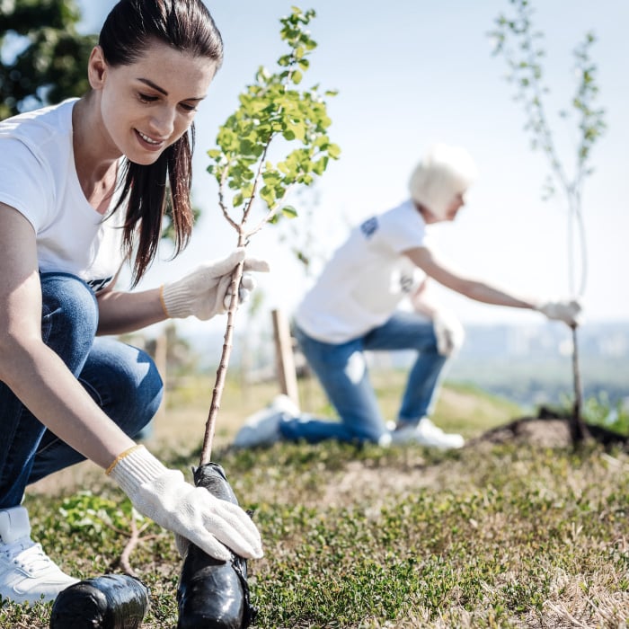 volunteers-planting-trees